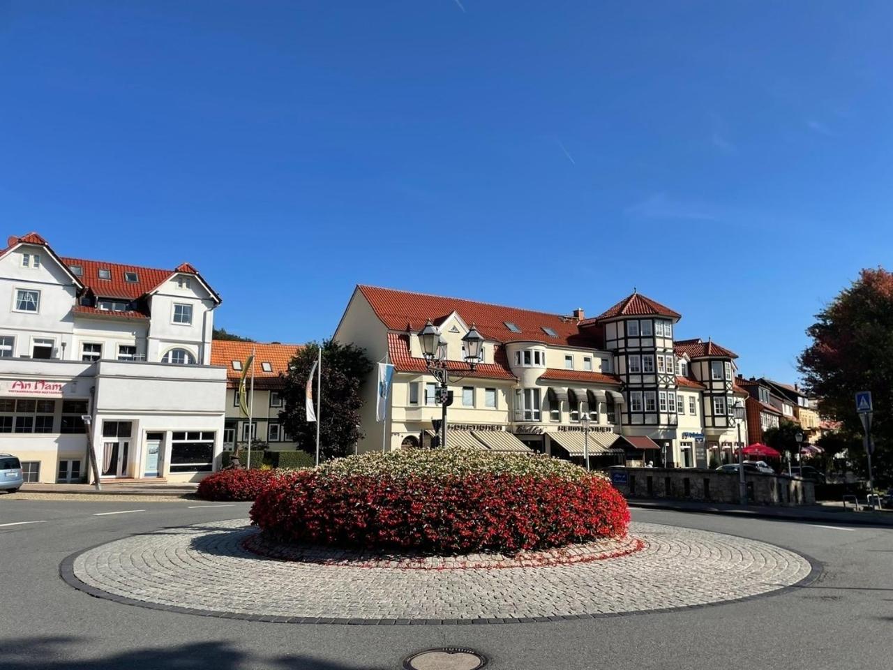 Ferienappartment "Kleine Waldpause" - Optional Mit Saunanutzung Bad Sachsa Buitenkant foto