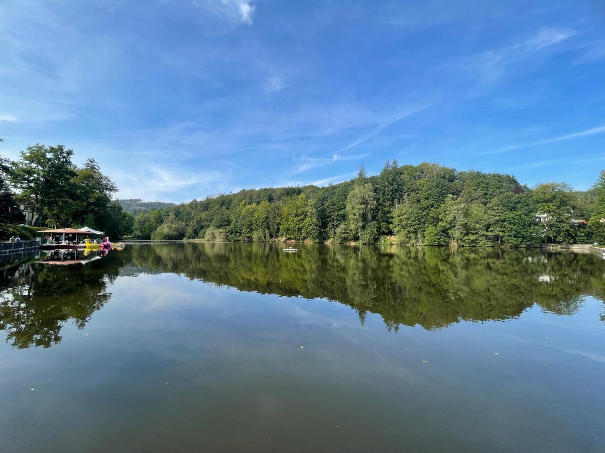 Ferienappartment "Kleine Waldpause" - Optional Mit Saunanutzung Bad Sachsa Buitenkant foto